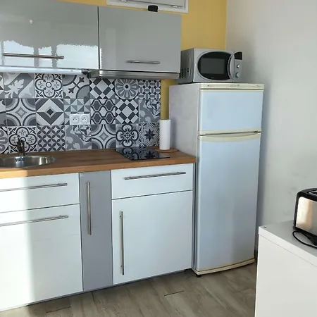 Apartment T2 Avec Loggia Et Wifi A - Fr-1-553-169 *